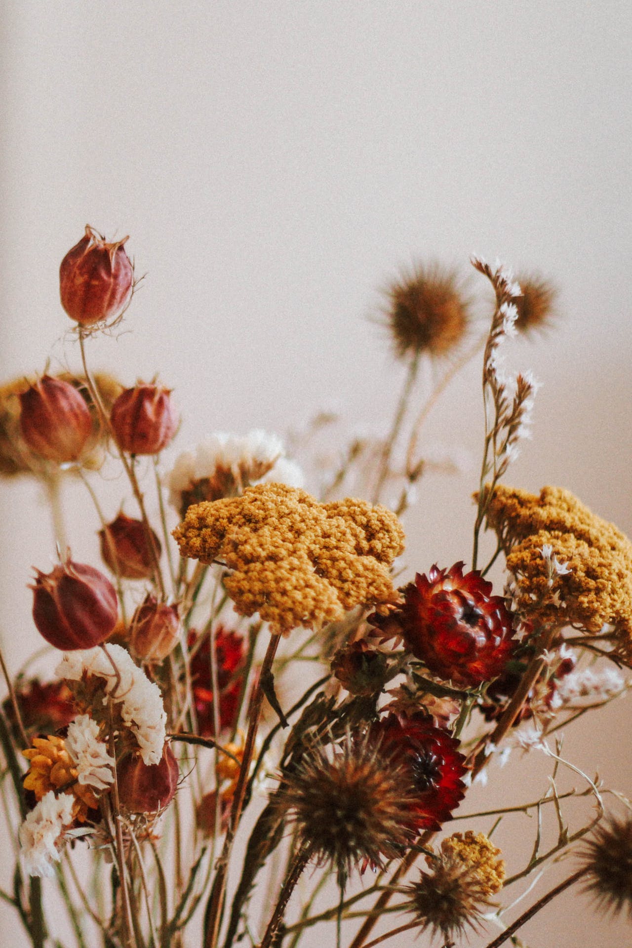 Flores preservadas: la elegante y sostenible elección para la