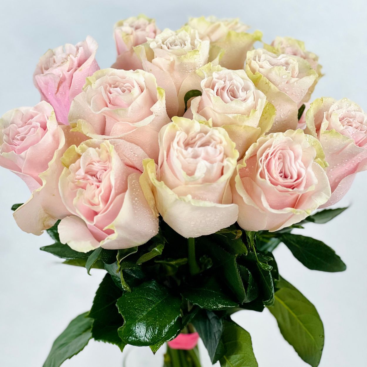 Ramo de rosas de colores - Ramos de flores para regalar - Enviar
