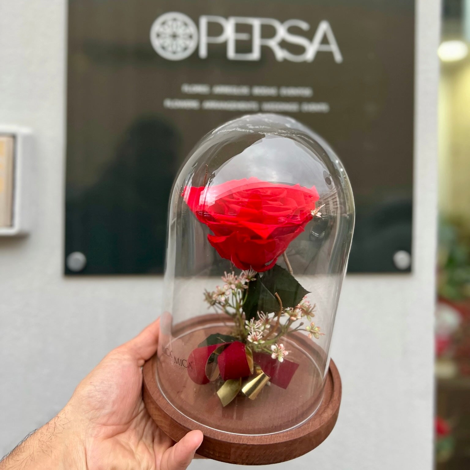 Rosas Eternas y Preservadas - Persa Flores