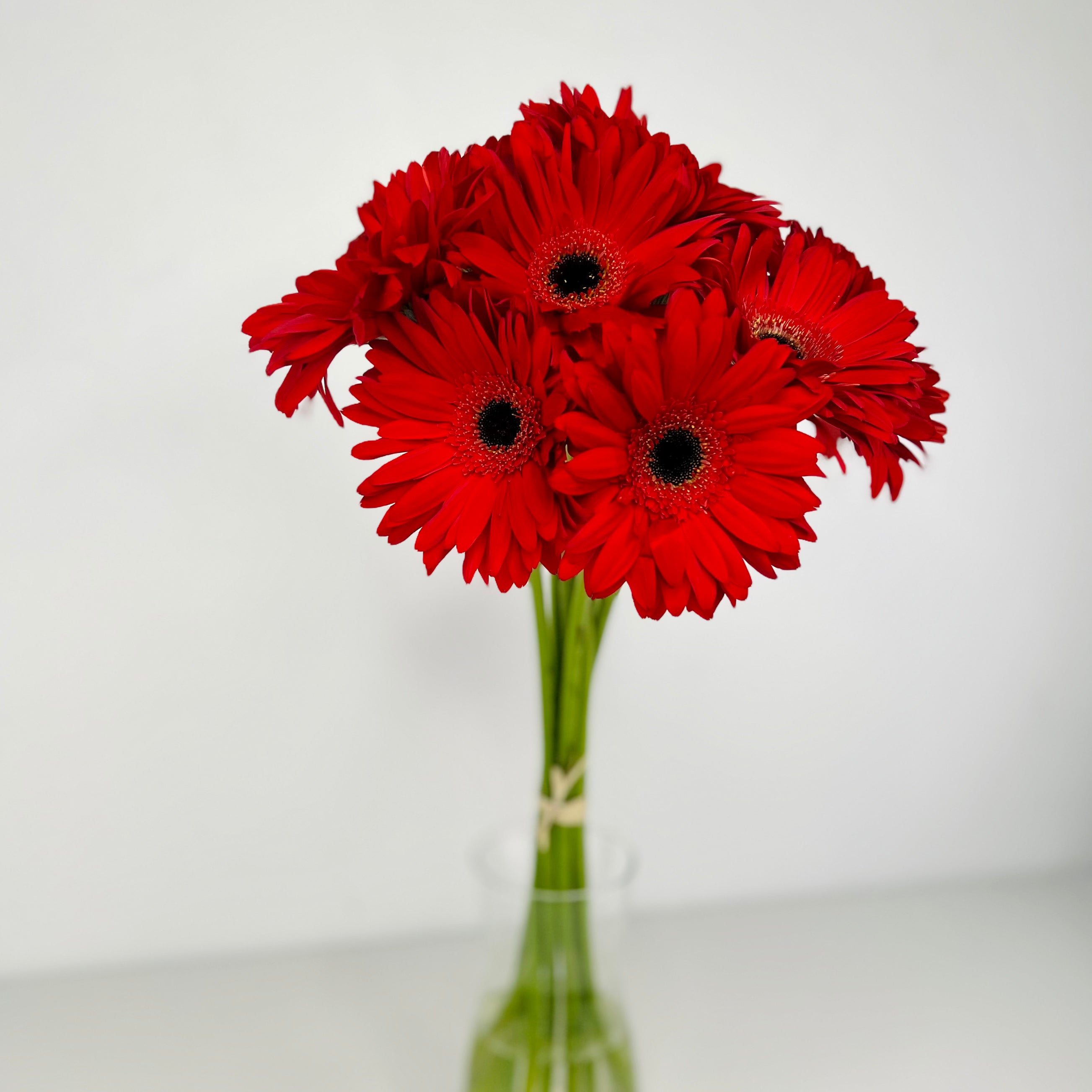 Loose Gerberas