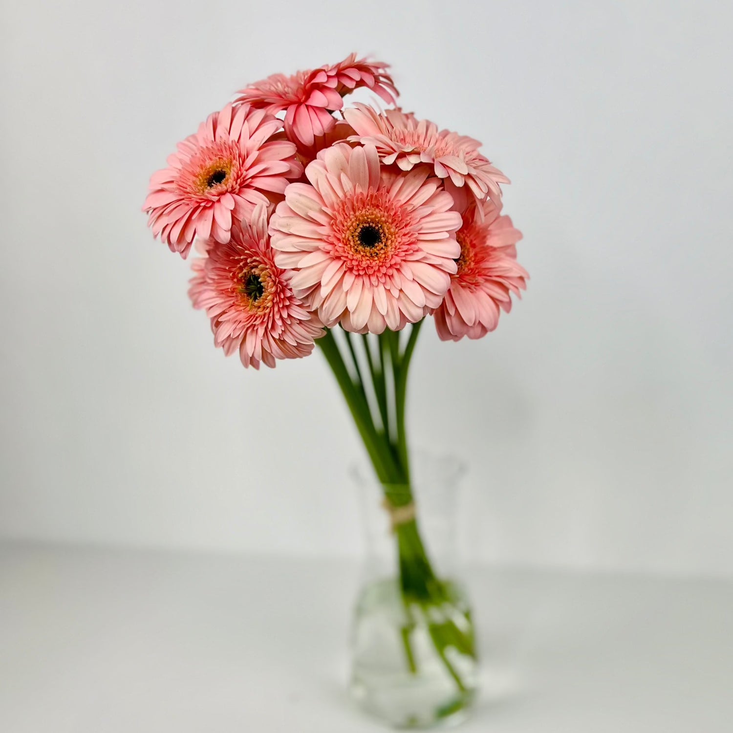Gerbera Rosa - Persa Flores