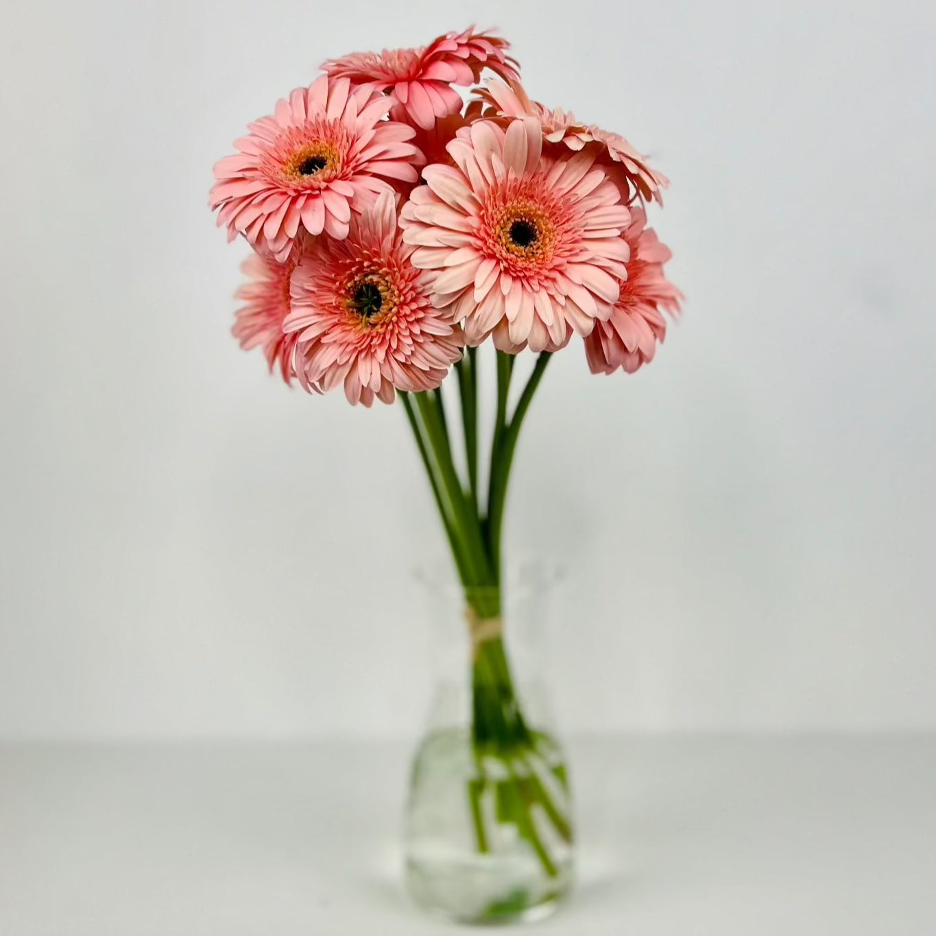Gerbera Rosa - Persa Flores