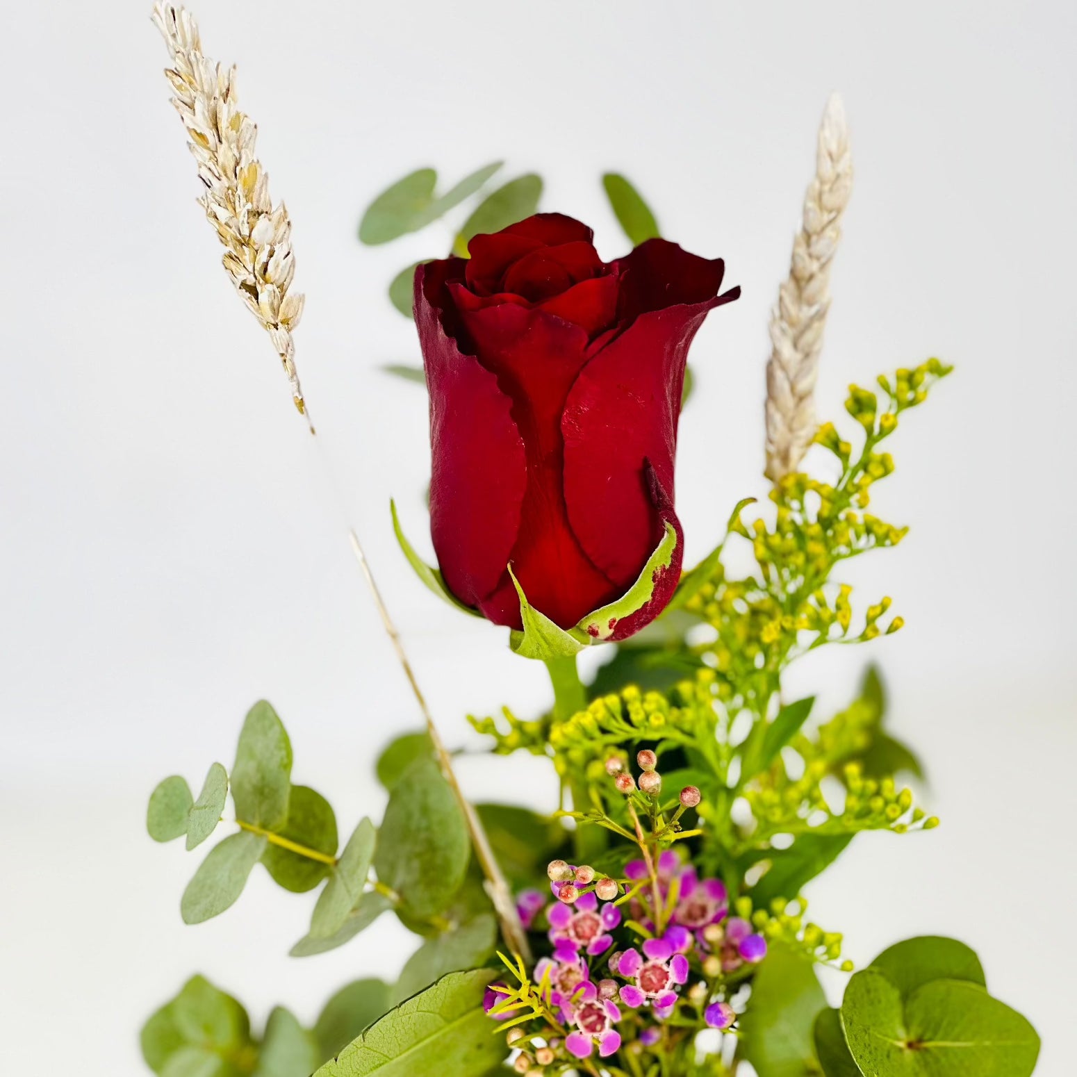 Rosa Roja Individual - Amor Puro - Persa Flores