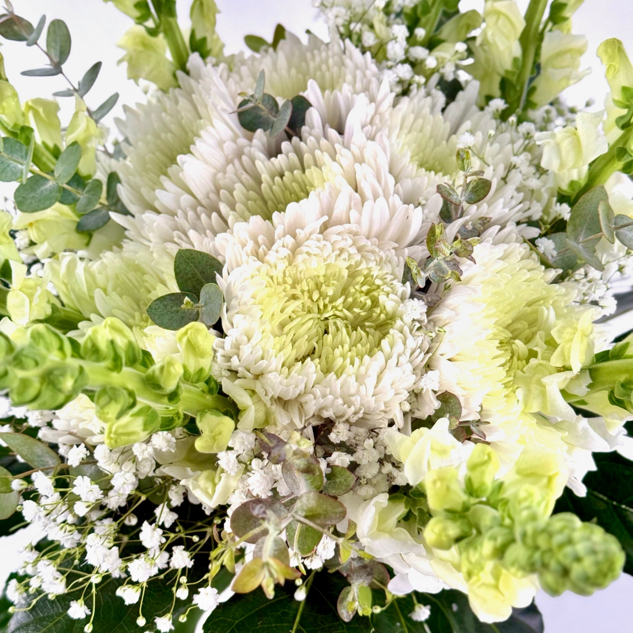 Mojácar | Ramo de Margaritas, Crisantemo y Antirrhinum Blanco - Persa Flores