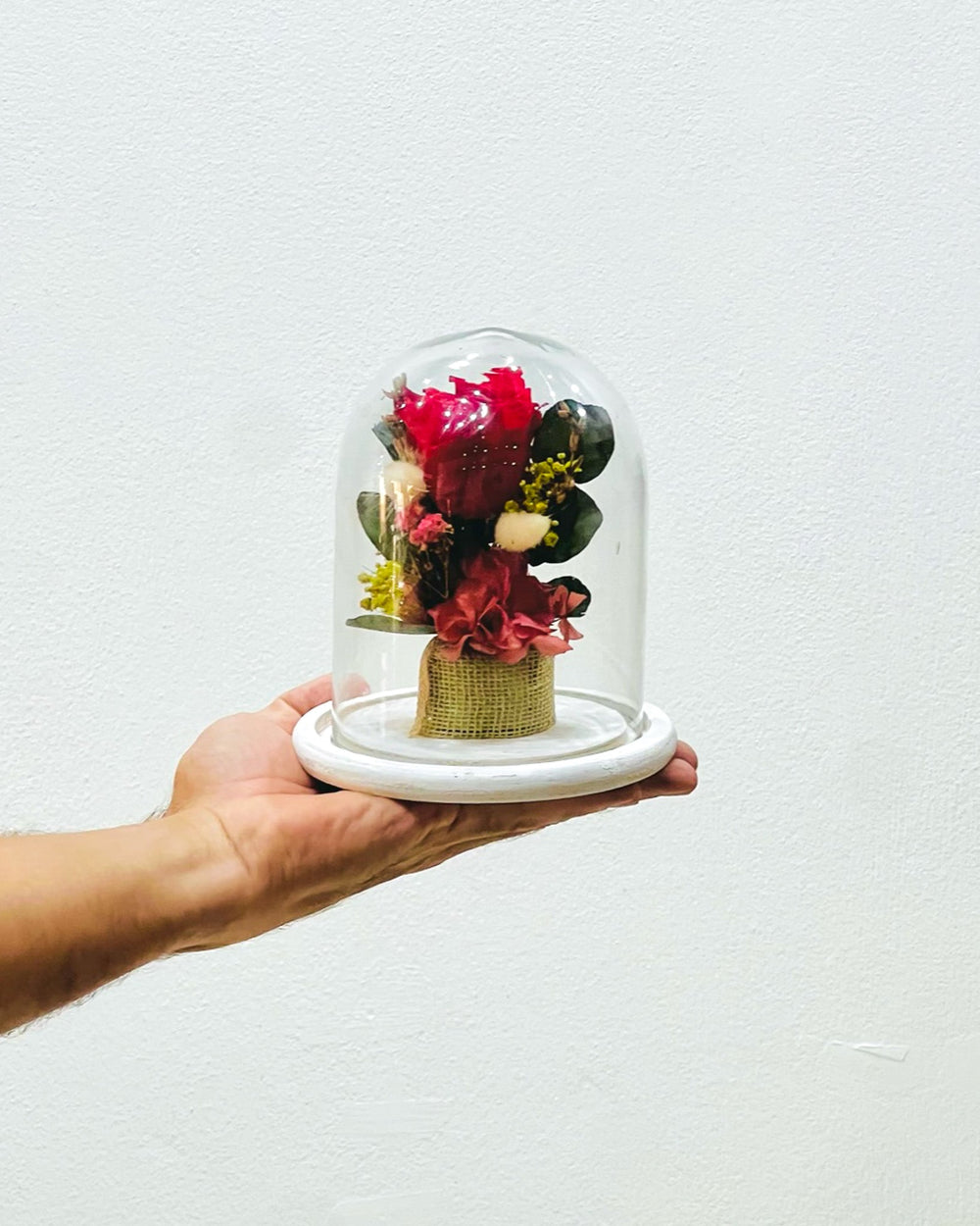 Cúpula Rosa Roja Petit — ramo con rosas, rosas rojas | Persa Flores