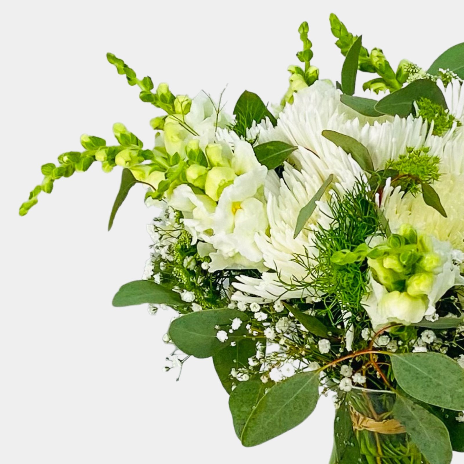 Mojácar | Ramo de Margaritas, Crisantemo y Antirrhinum Blanco - Persa Flores