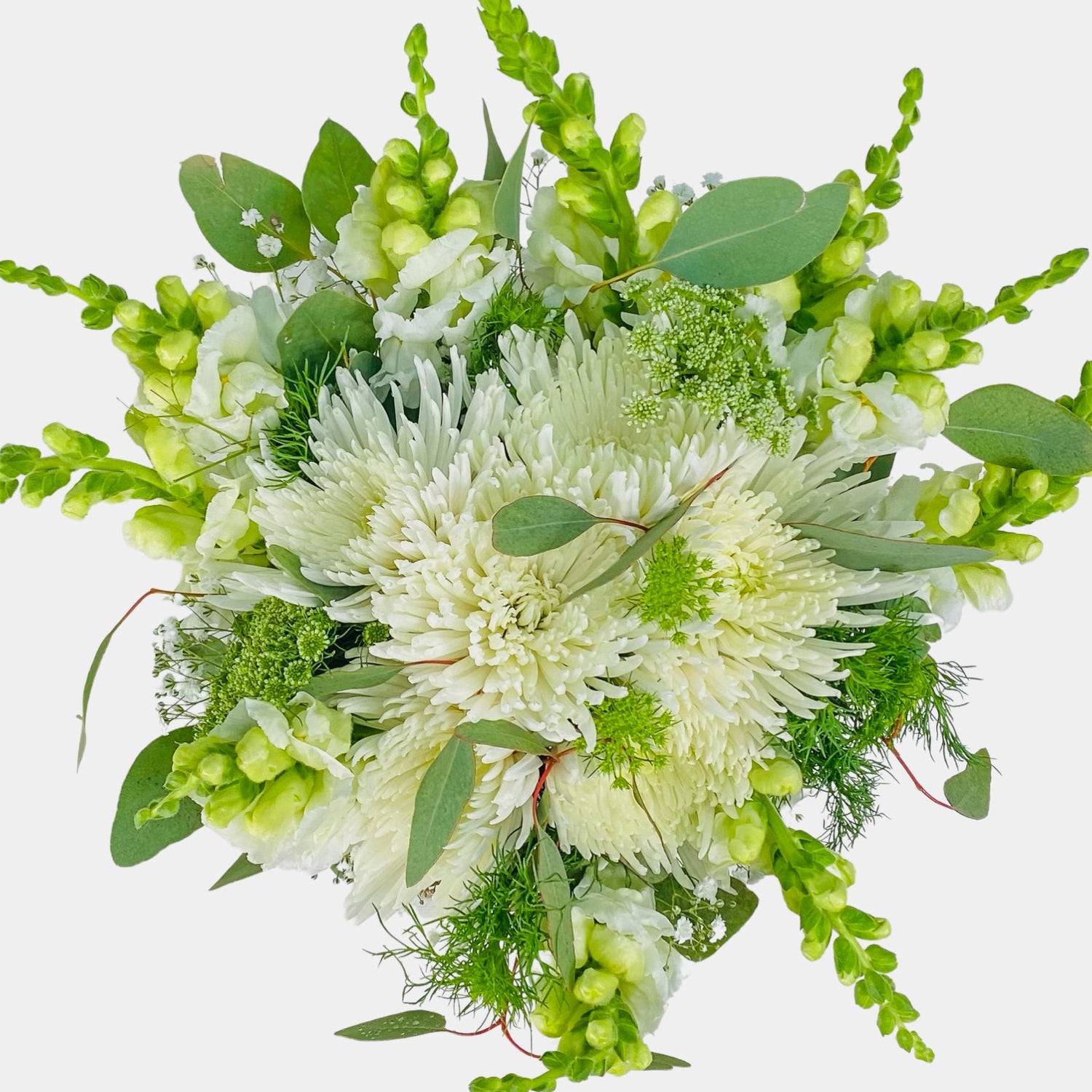 Mojácar | Ramo de Margaritas, Crisantemo y Antirrhinum Blanco - Persa Flores
