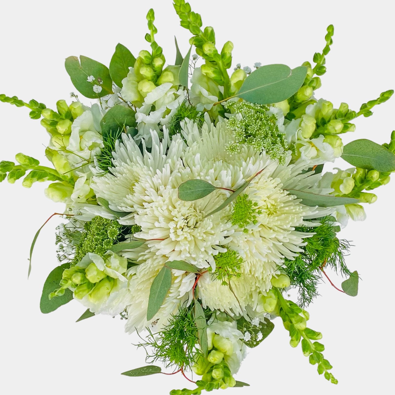 Mojácar | Ramo de Margaritas, Crisantemo y Antirrhinum Blanco - Persa Flores