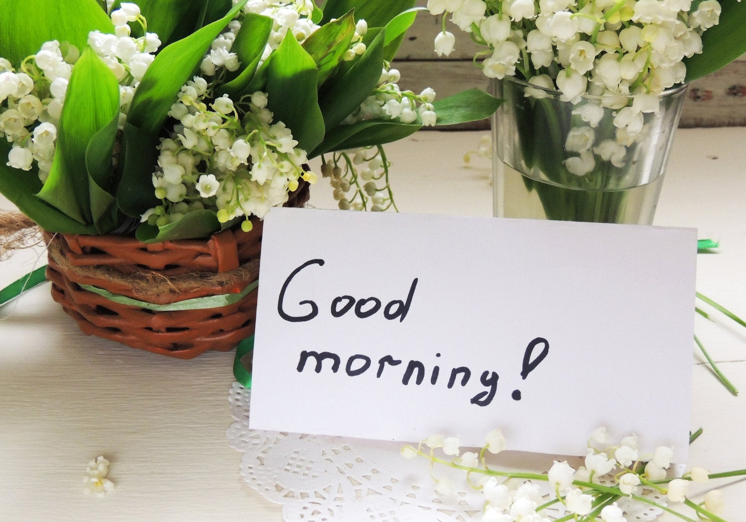 100 Mensajes de Buenos Días para alguien especial - Persa Flores