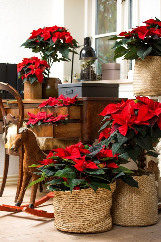 Decoración de navidad: Las mejores ideas para centros de mesa florales - Persa Flores