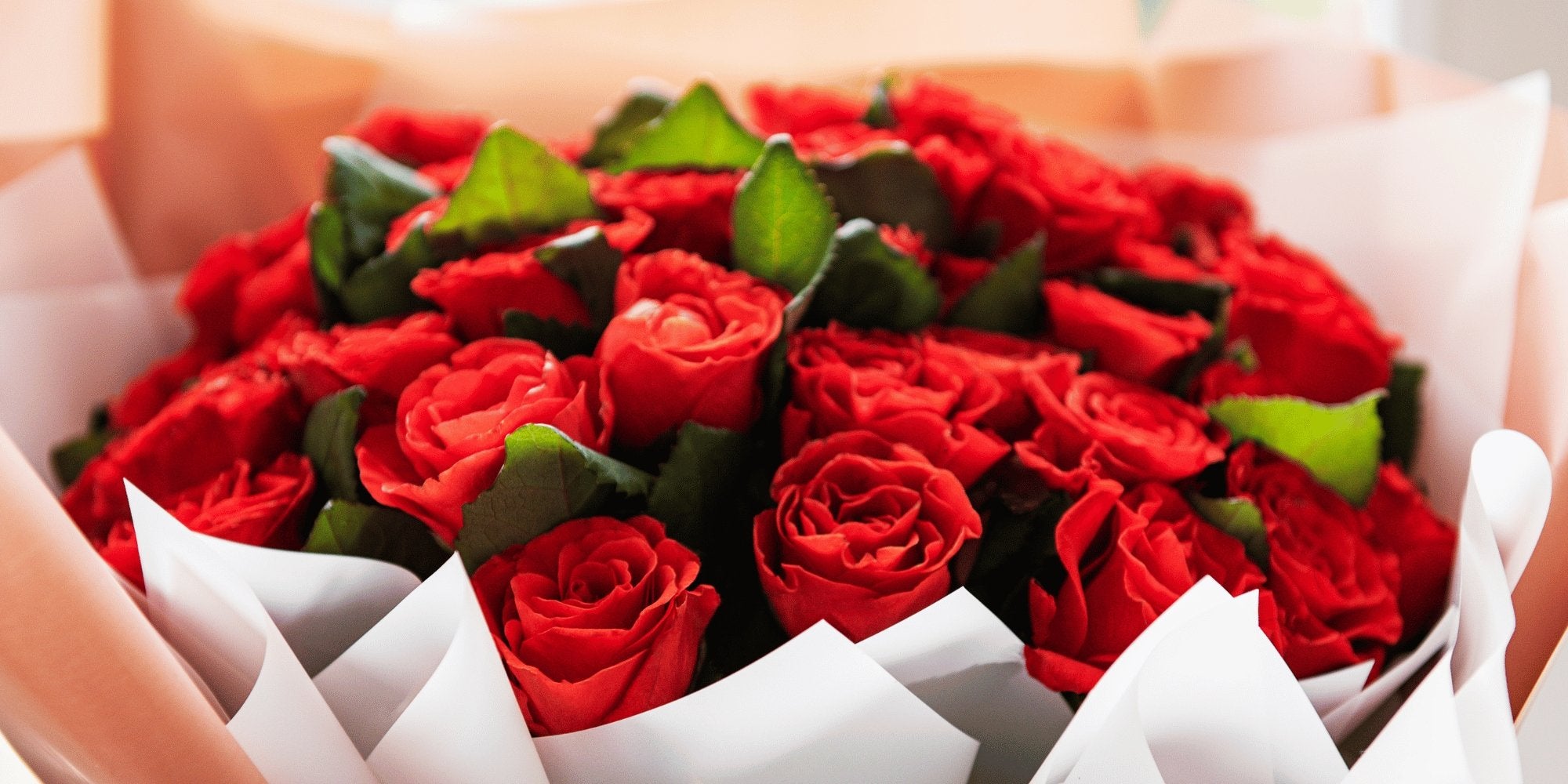 Significado Simbólico de las Rosas: Una Guía Completa – Persa Flores