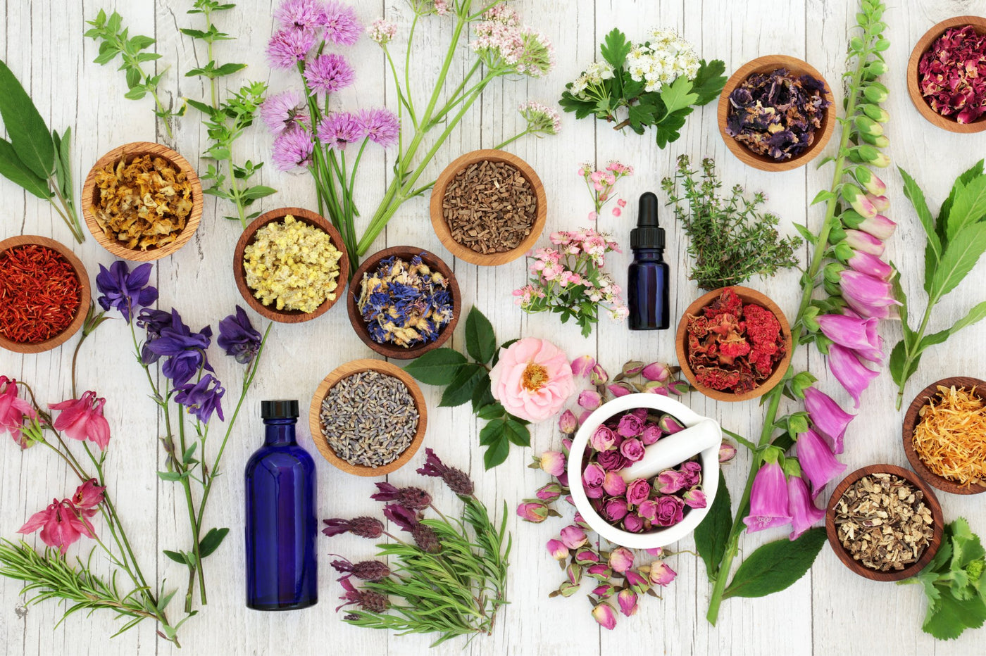 Flores y su Papel en la Medicina Herbal - Persa Flores