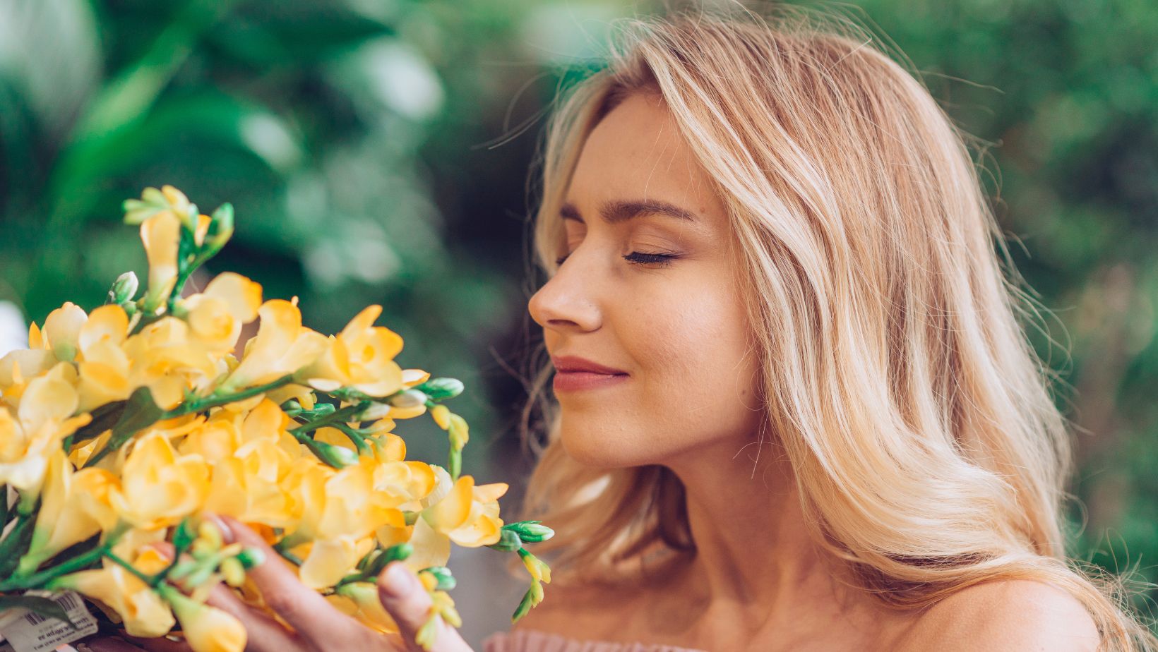 Fresia significado: belleza, fragancia y simbolismo en cada ramo - Persa Flores