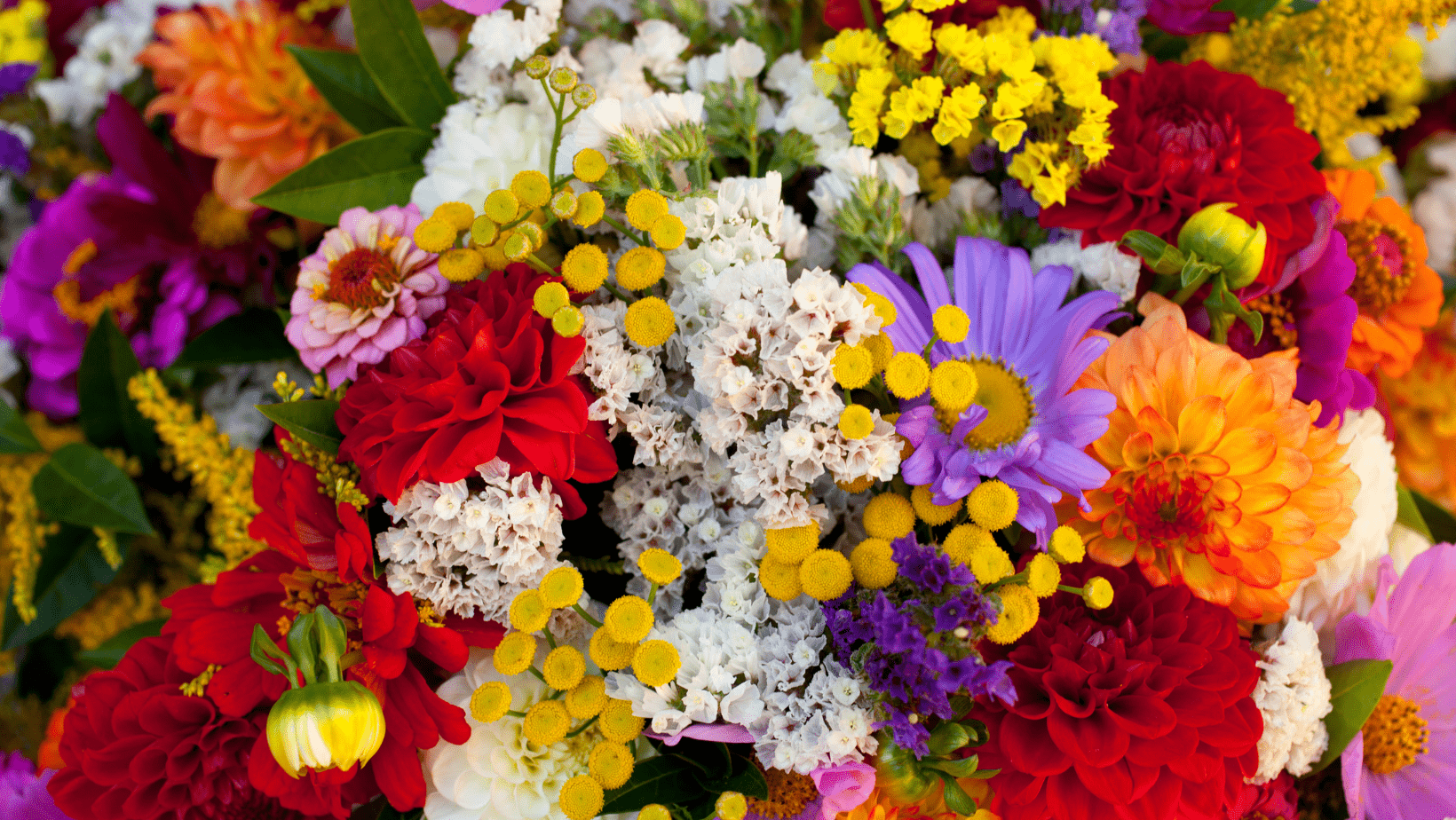 ¿Por qué elegir un ramo de flores variadas para regalar? - Persa Flores