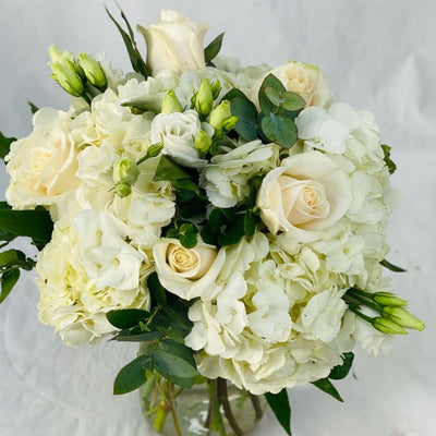 Purity and elegance: white roses at home