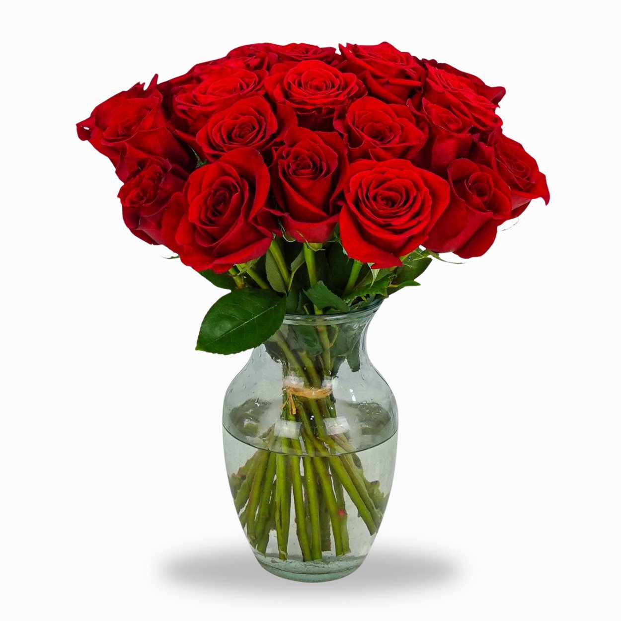 Comprar Rosas Online - Persa Flores