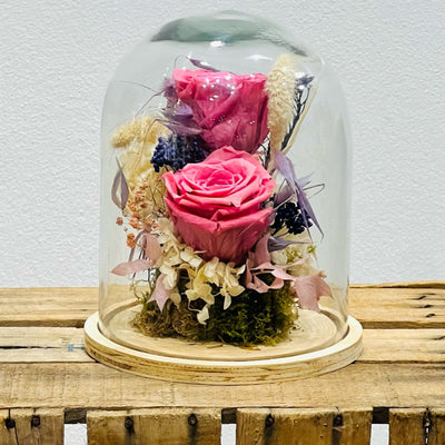 Cúpulas de Flores Preservadas - Persa Flores