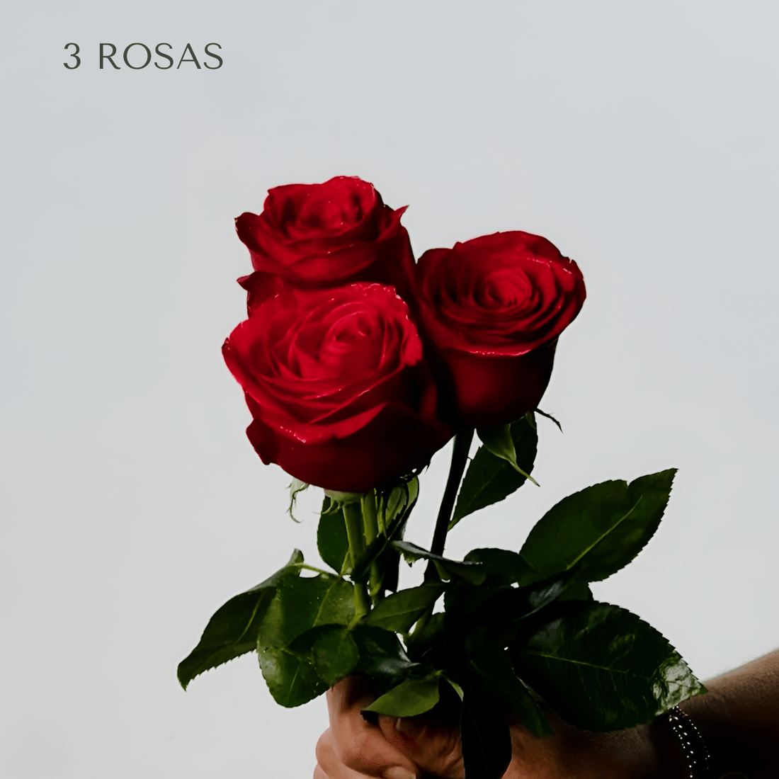 3 Rosas Extra - Persa Flores