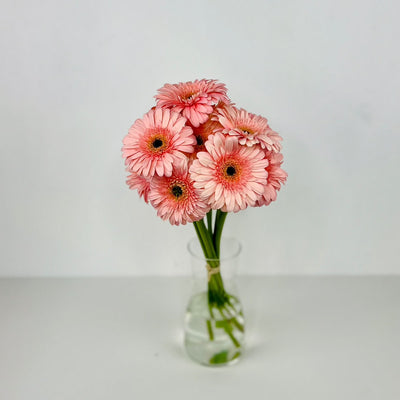 Gerbera Rosa - Persa Flores