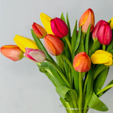 RamodeTulipanesdeColoresdePersaFlores