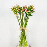 Alstroemeria Rosa - Encanto Sutil y Duradero - Persa Flores