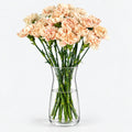 Claveles de Colores - Persa Flores
