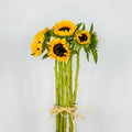 Girasoles Premium — ramo con girasoles | Persa Flores