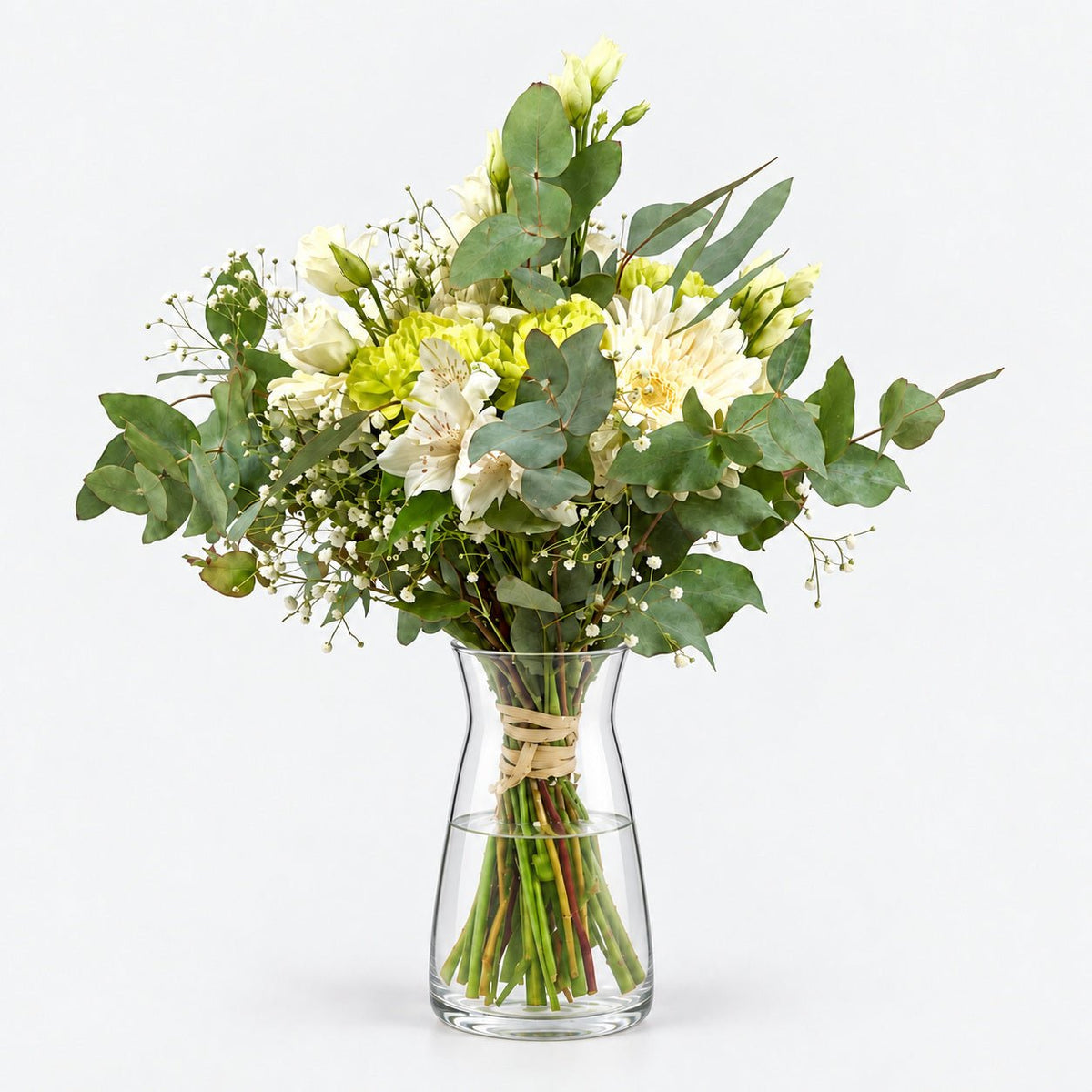 Light Winter - Persa Flores
