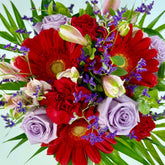 Macarena | Ramo de Rosas, Alstroemeria y Gerbera - Persa Flores