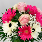 Margarita - Gerberas y Rosas - Persa Flores