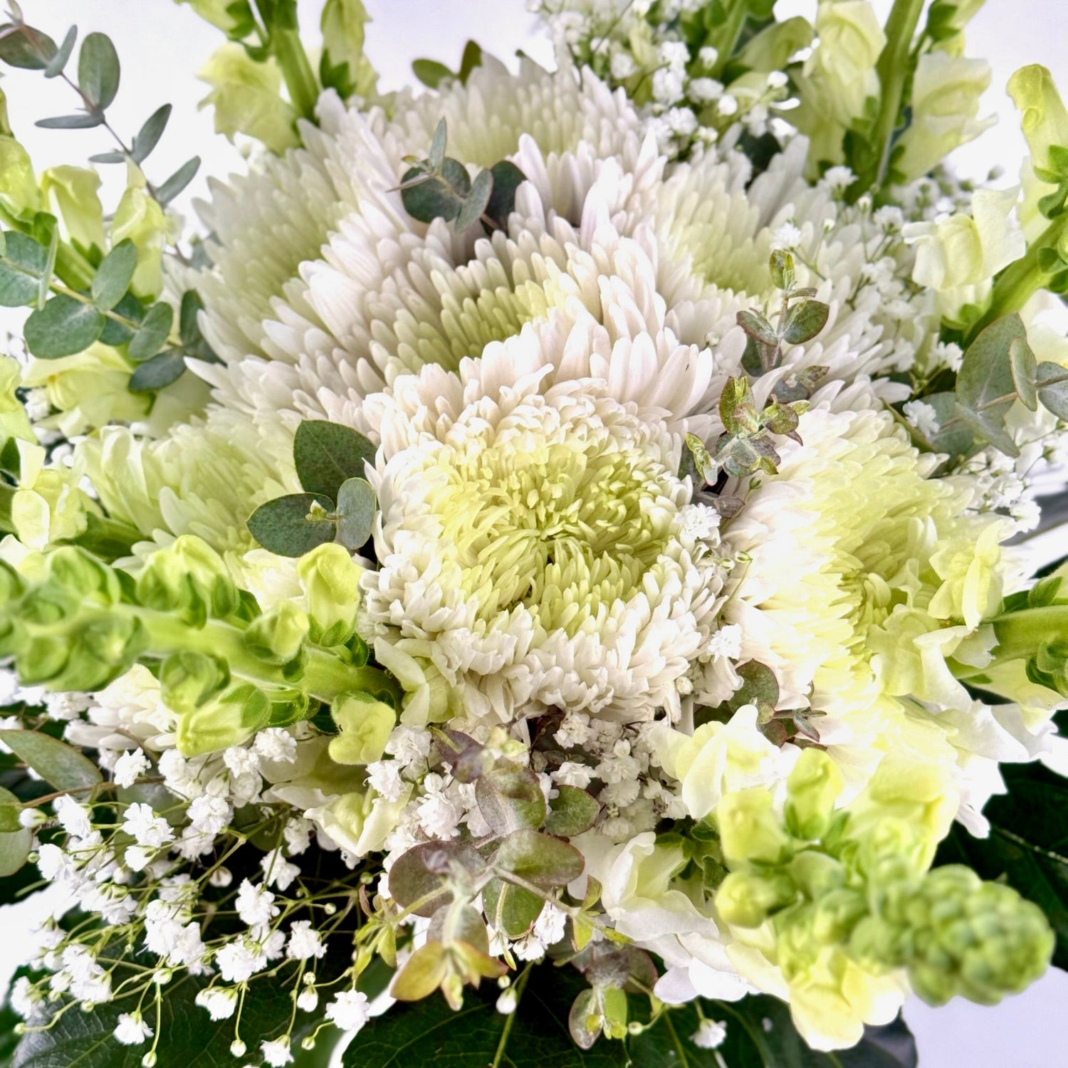 Mojácar | Ramo de Margaritas, Crisantemo y Antirrhinum Blanco - Persa Flores