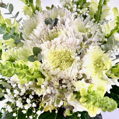 Mojácar | Ramo de Margaritas, Crisantemo y Antirrhinum Blanco - Persa Flores