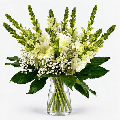 Mojácar | Ramo de Margaritas, Crisantemo y Antirrhinum Blanco - Persa Flores