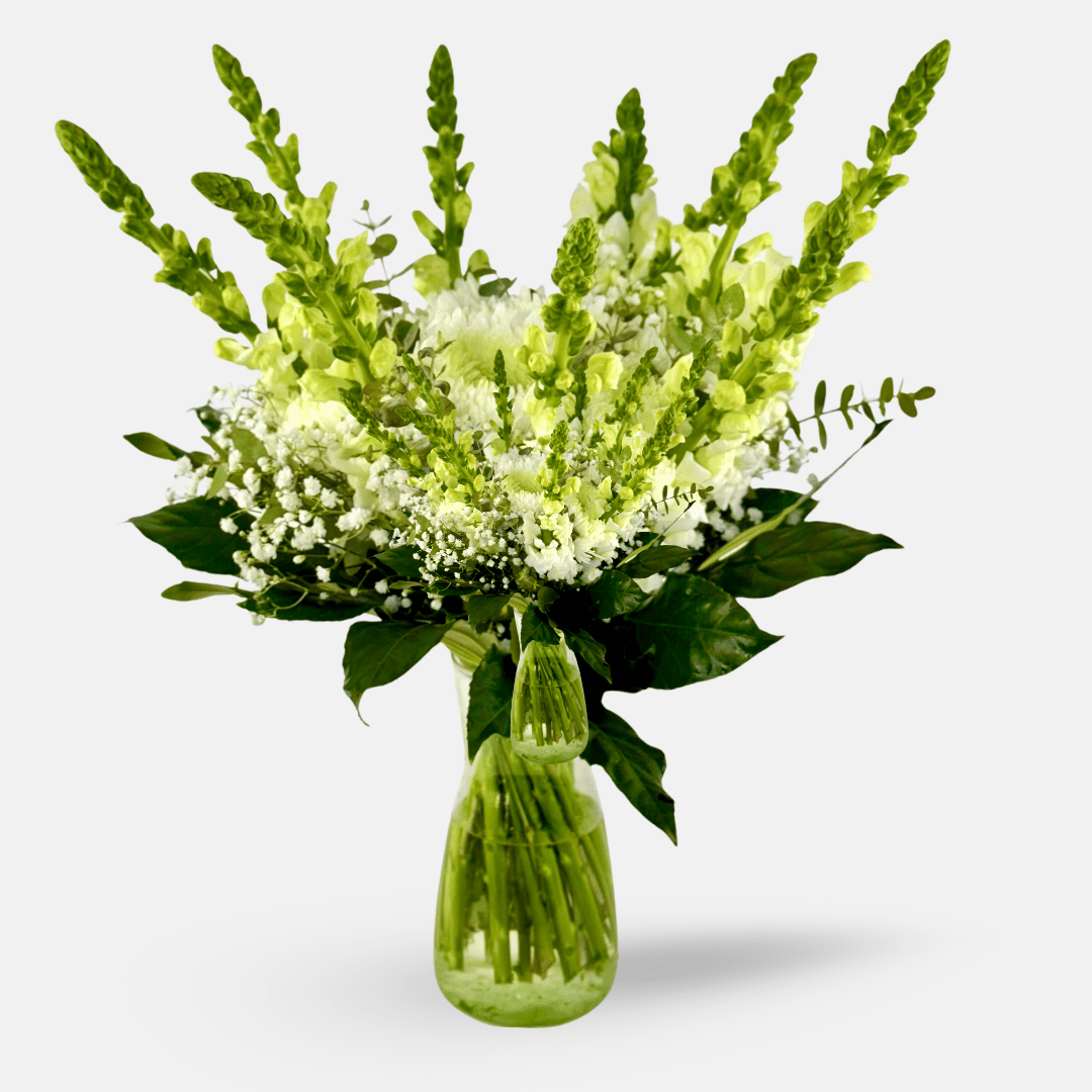 Mojácar | Ramo de Margaritas, Crisantemo y Antirrhinum Blanco - Persa Flores