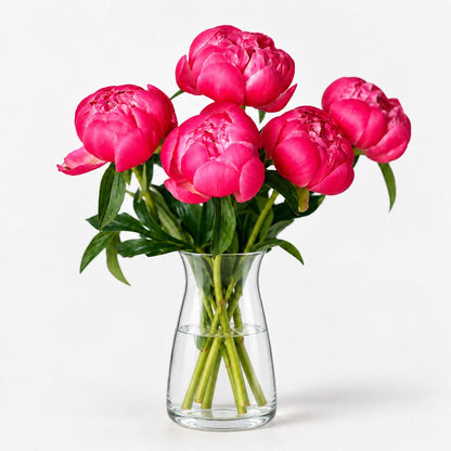 Peonías Rosa Elegance - Persa Flores