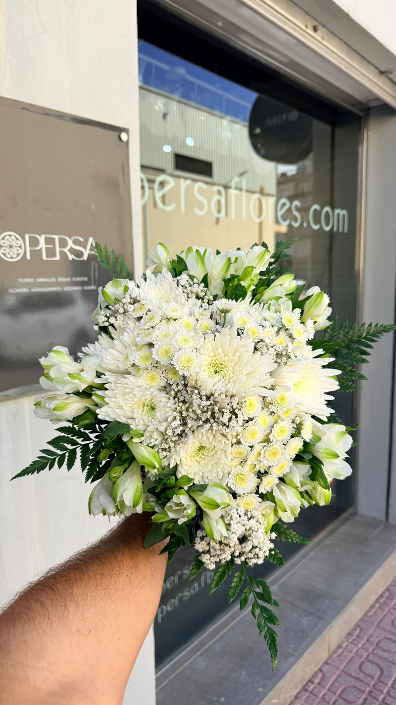 Mojácar, fotografiado en nuestra floristería antes de salir
