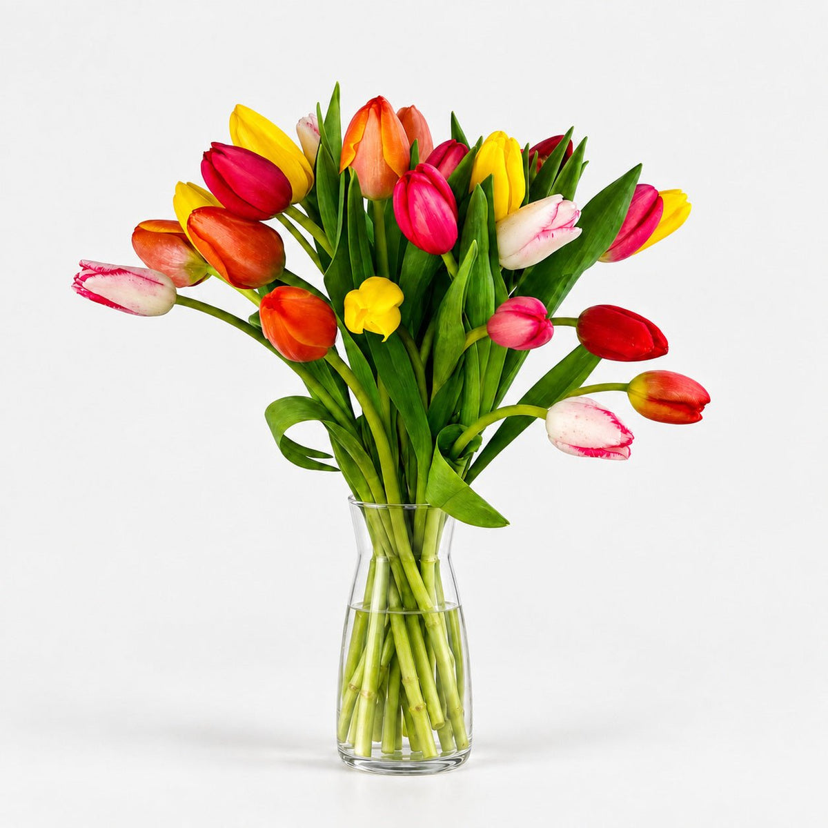 Ramo de Tulipanes de Colores - Persa Flores