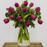 Ramo de Tulipanes Morados - Persa Flores