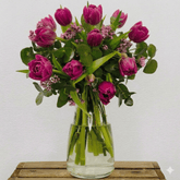 Ramo de Tulipanes Morados - Persa Flores