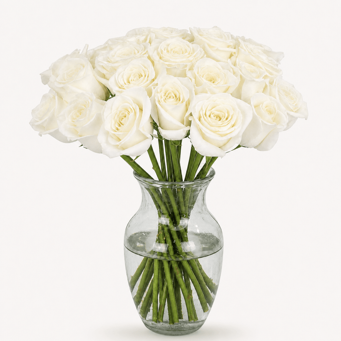 Rosas Blancas Premium - Persa Flores