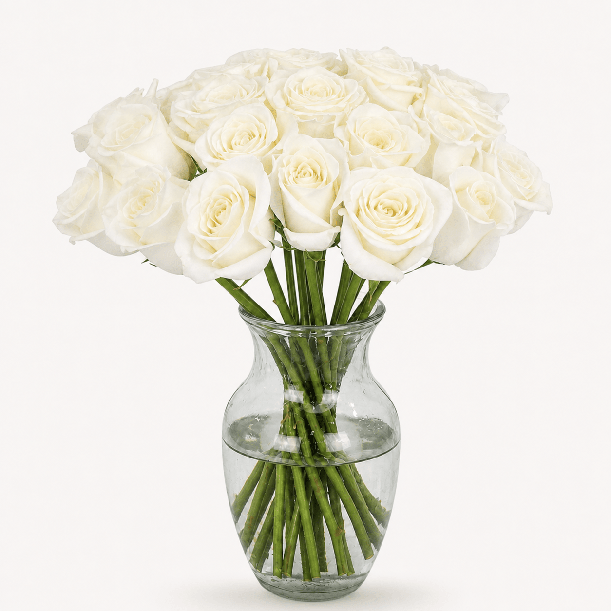 Rosas Blancas Premium - Persa Flores