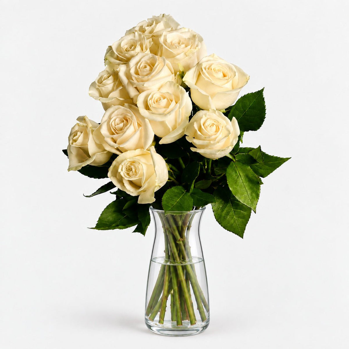 Rosas Blancas Premium - Persa Flores