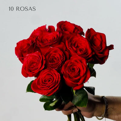 Rosas Rojas Premium - Persa Flores