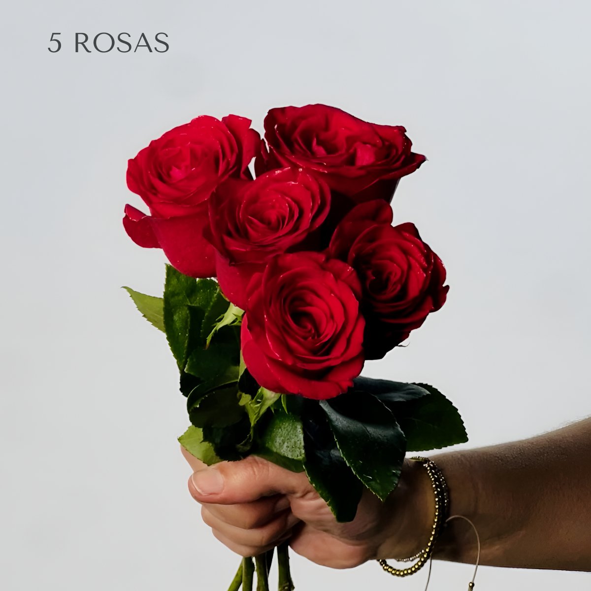 Rosas Rojas Premium - Persa Flores