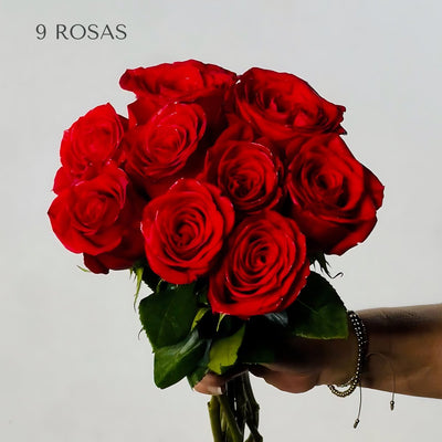 Rosas Rojas Premium - Persa Flores