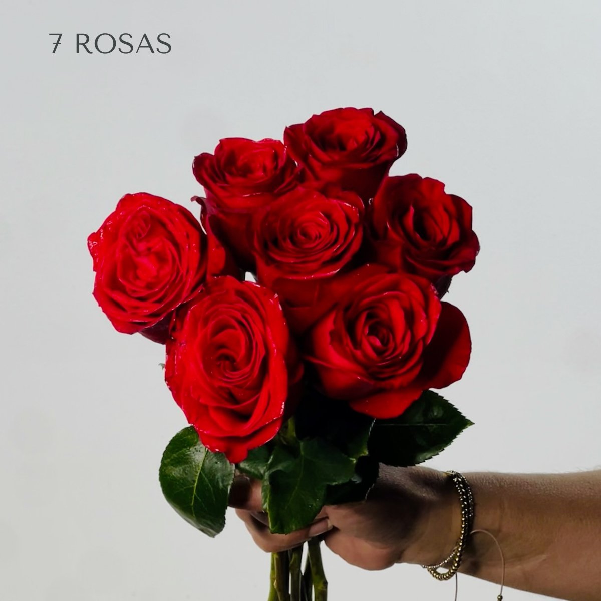 Rosas Rojas Premium - Persa Flores