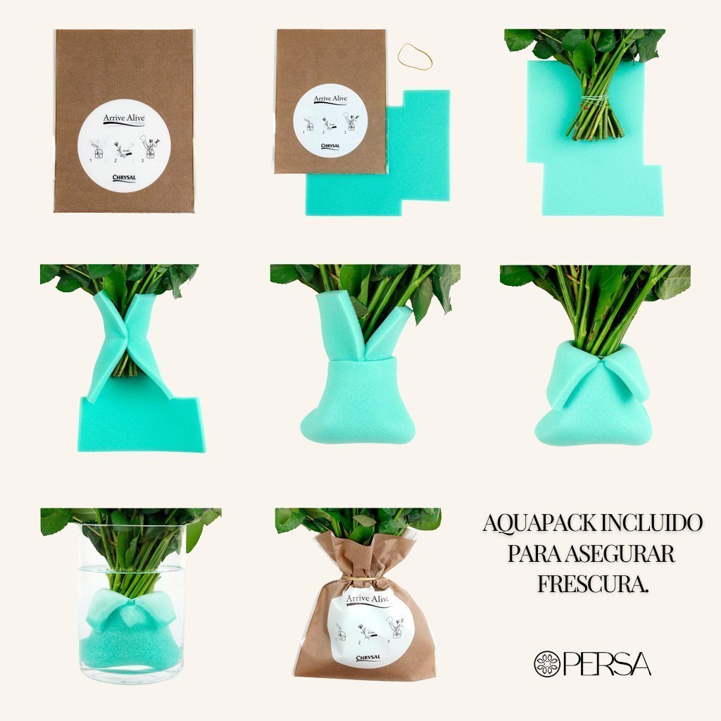 Rosas Rojas Premium 🔥OFERTA🔥 - Persa Flores