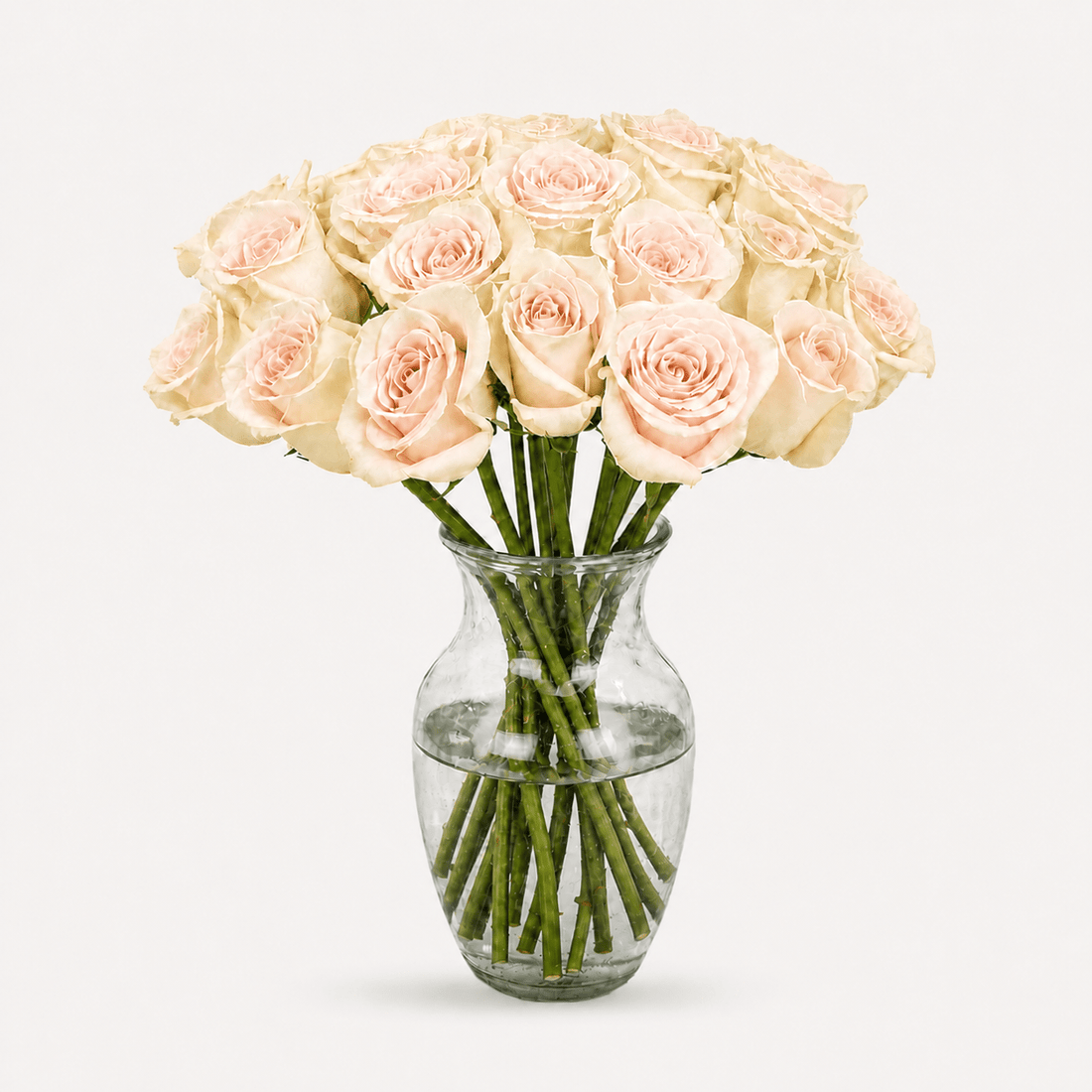 Rosas Rosa Premium - Persa Flores