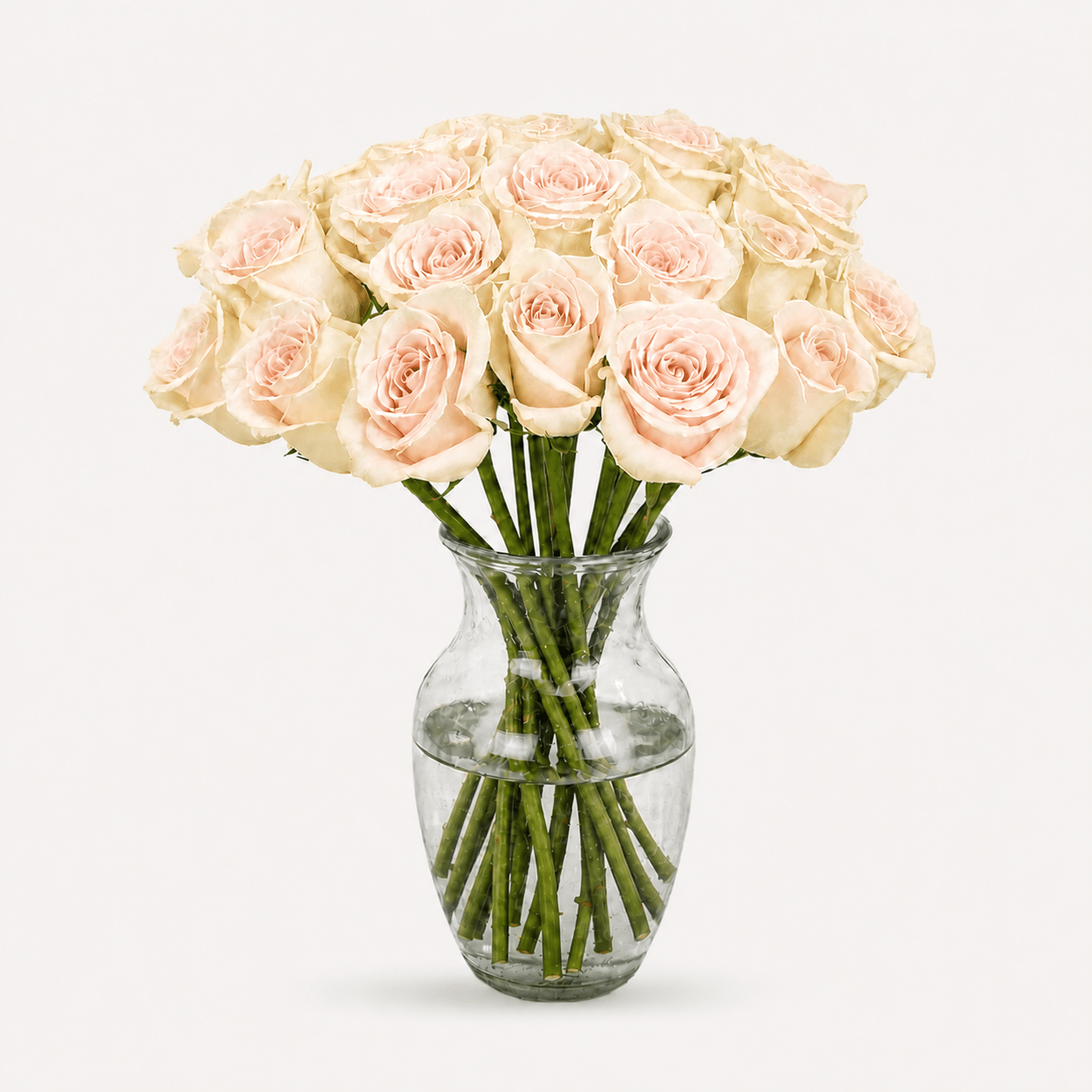 Rosas Rosa Premium - Persa Flores