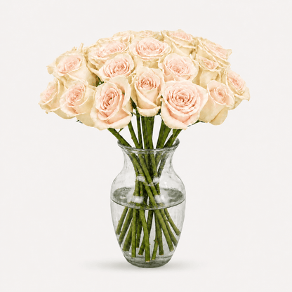 Rosas Rosa Premium - Persa Flores